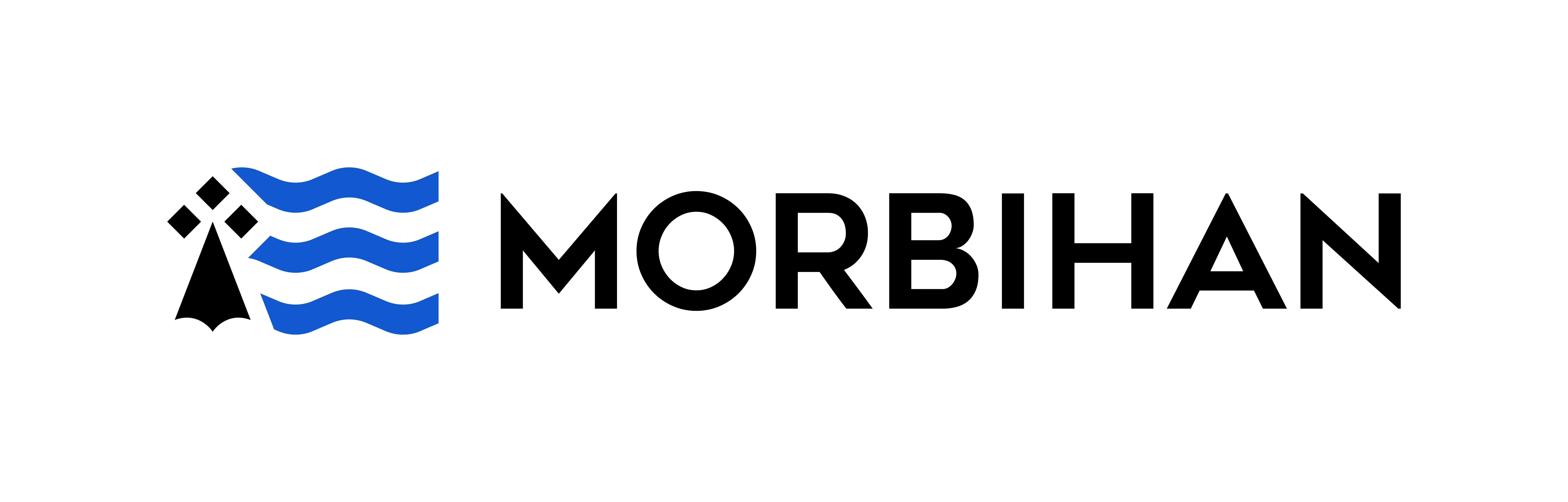 Logo Département du Morbihan